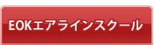 EOKエアラインスクール