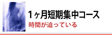 1か月短期集中コース